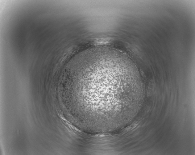 X0000061731441200512050921