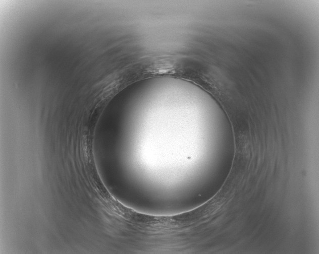 X0000061731442200512050921