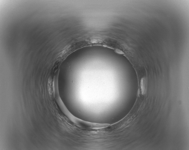 X0000061731443200512050921