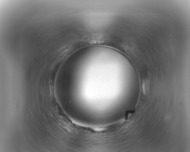 X0000061731444200512050921