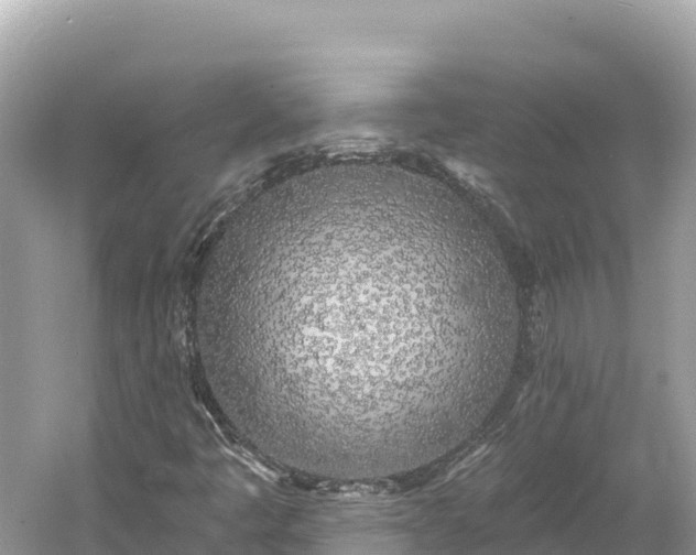 X0000061731445200512050921