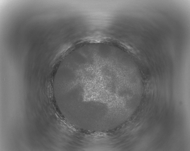 X0000061731446200512050921