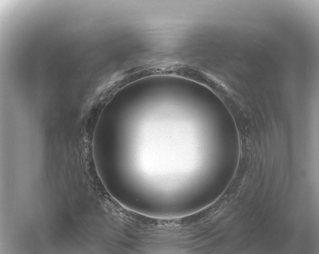 X0000061731447200512050921