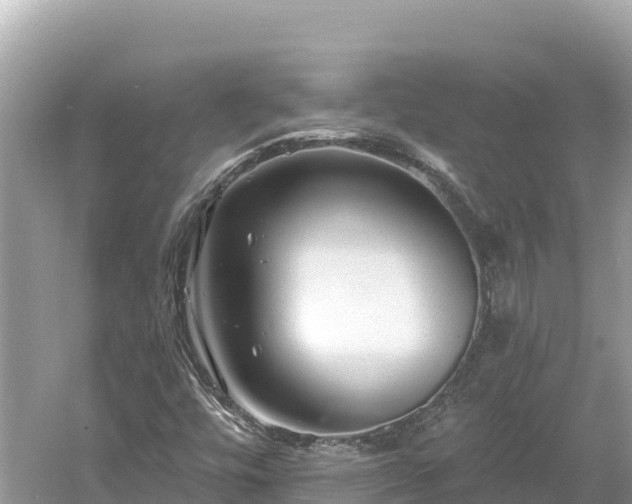 X0000061731448200512050921