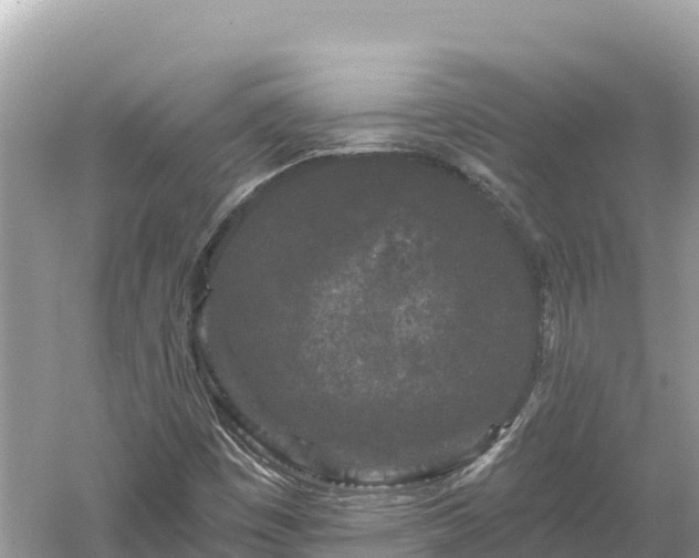 X0000061731449200512050921