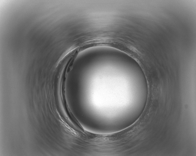 X0000061731450200512050921