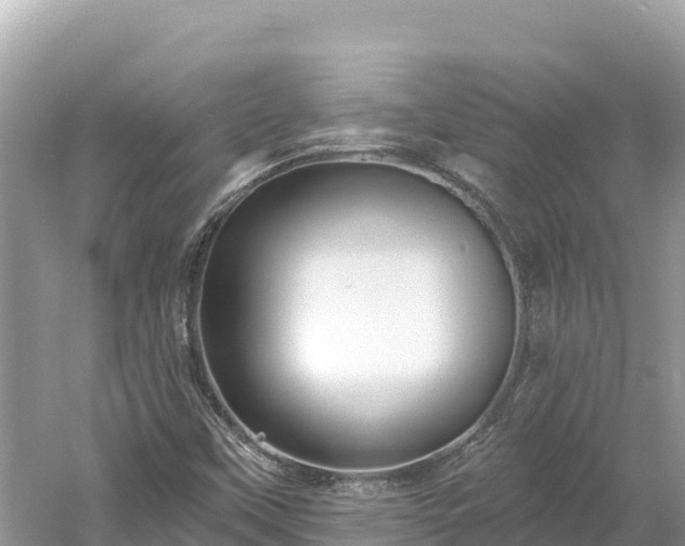 X0000061731451200512050921