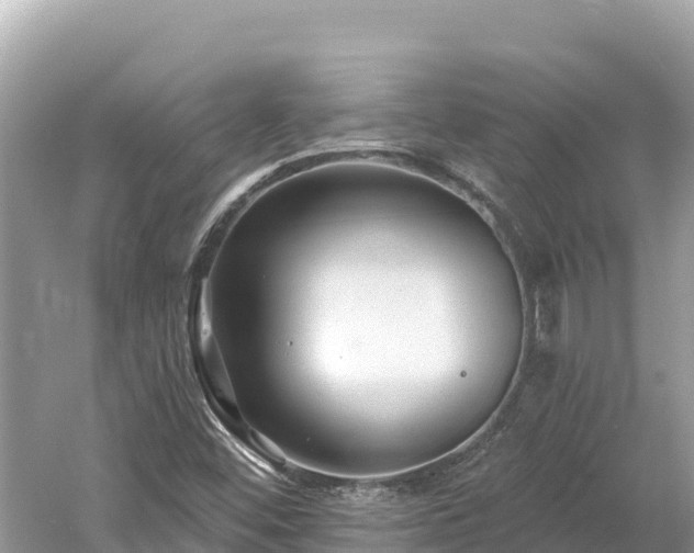 X0000061731452200512050920