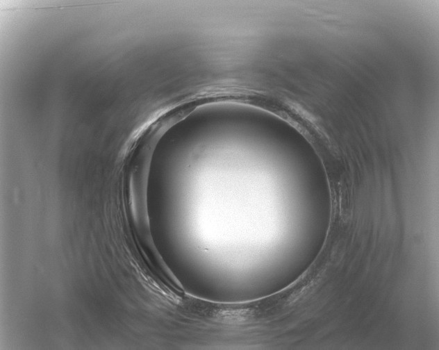 X0000061731453200512050920