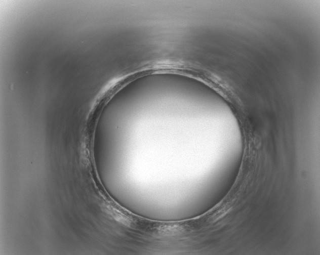 X0000061731454200512050920