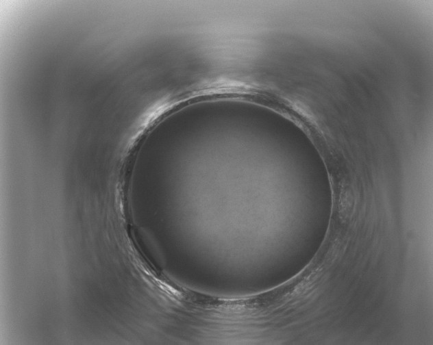 X0000061731455200512050920