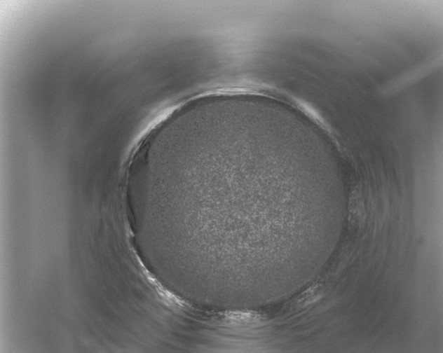 X0000061731456200512050920