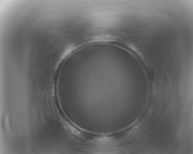 X0000061731459200512050920