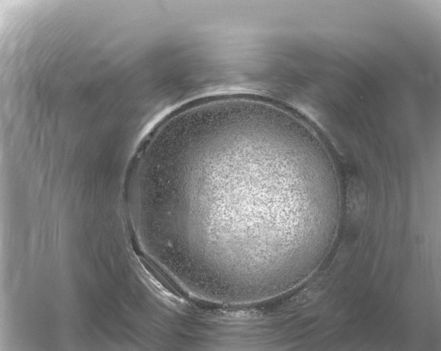 X0000061731460200512050920