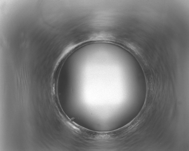 X0000061731462200512050920