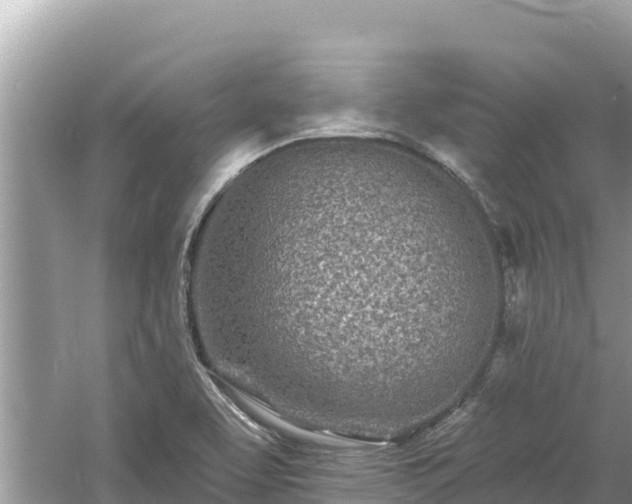 X0000061731463200512050920