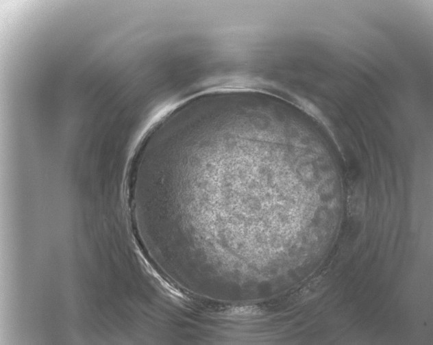 X0000061731464200512050920