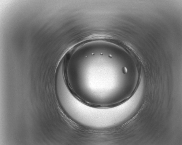 X0000061731465200512050920