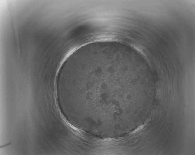 X0000061731467200512050920