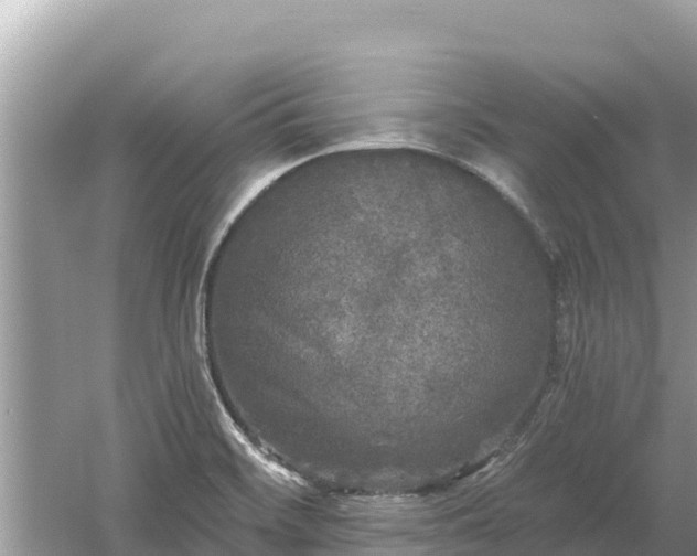 X0000061731468200512050920