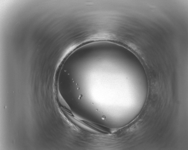 X0000061731469200512050920