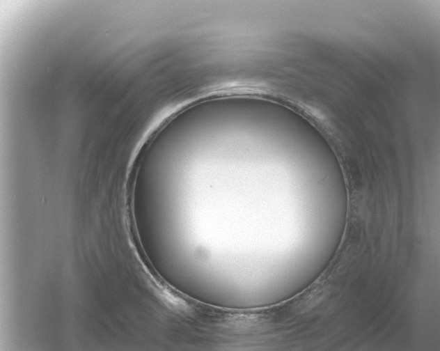 X0000061731470200512050920