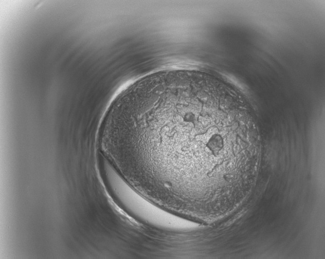 X0000061731471200512050920