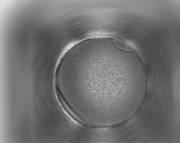 X0000061731472200512050920