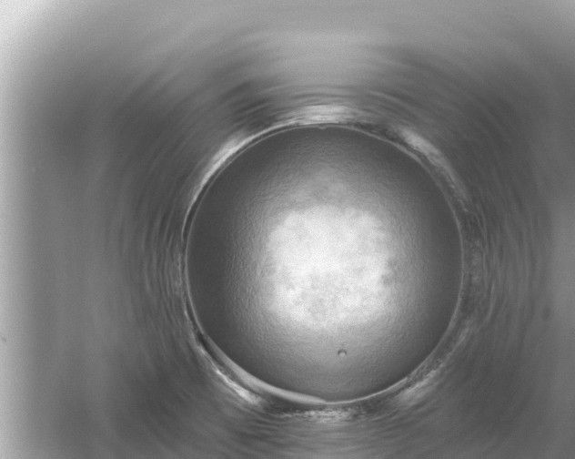 X0000061731473200512050920