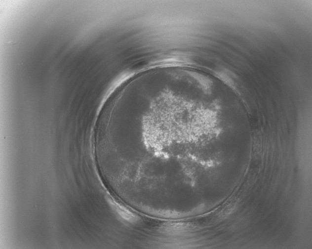 X0000061731474200512050920