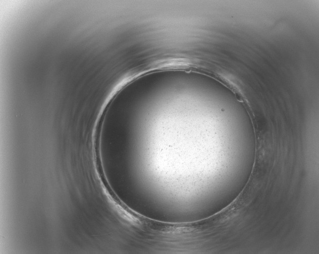 X0000061731475200512050920