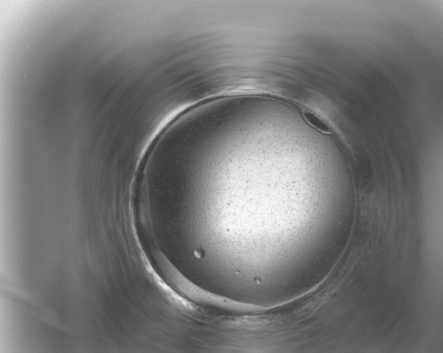 X0000061731476200512050920