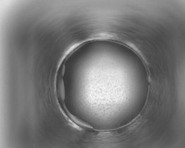 X0000061731477200512050920