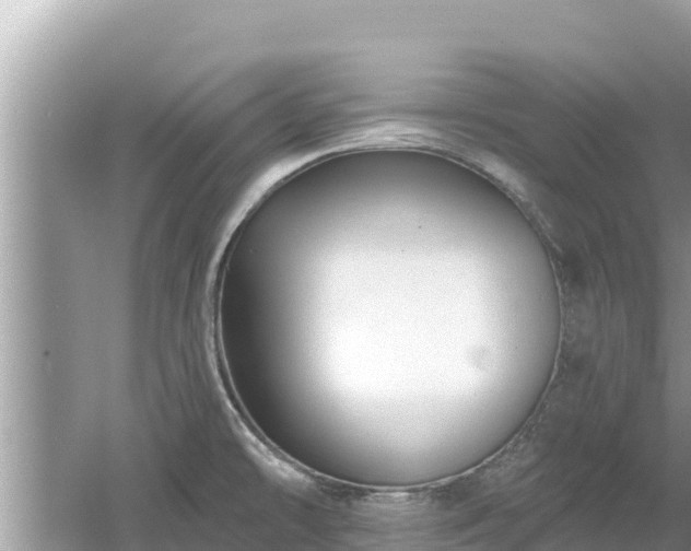 X0000061731478200512050920