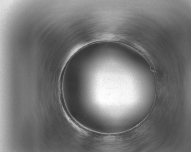 X0000061731479200512050920