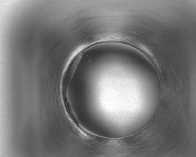 X0000061731480200512050920