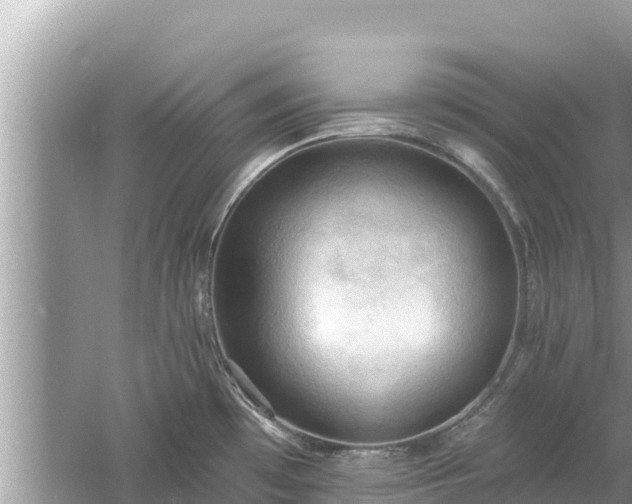 X0000061731481200512050920