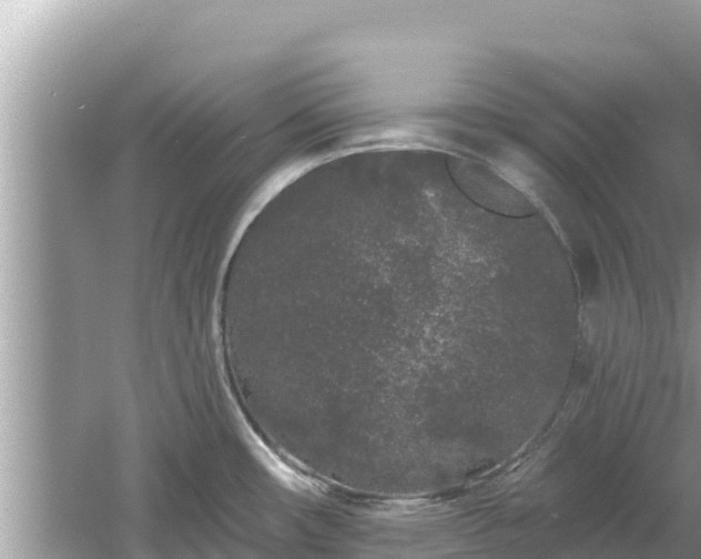 X0000061731482200512050920