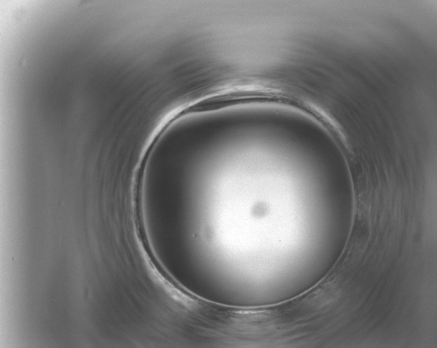 X0000061731483200512050920