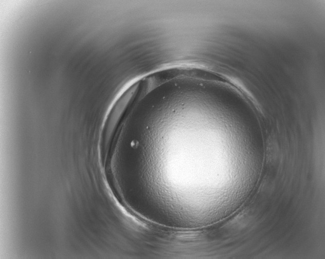 X0000061731484200512050920