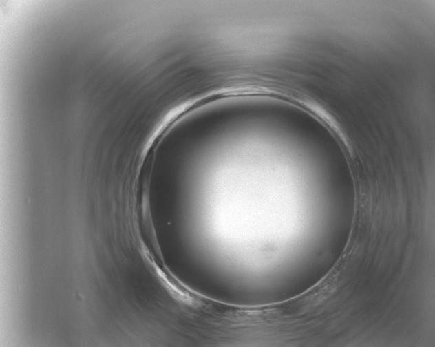 X0000061731485200512050920