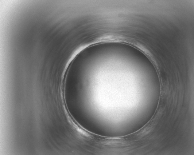 X0000061731486200512050920