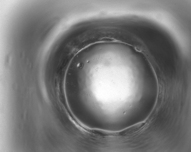 X0000061731487200512050920