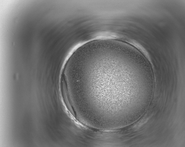 X0000061731488200512050920