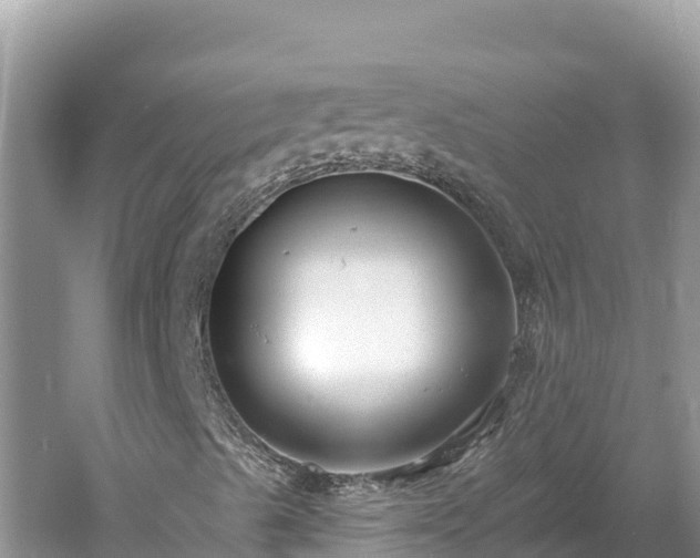 X0000061731489200512050919