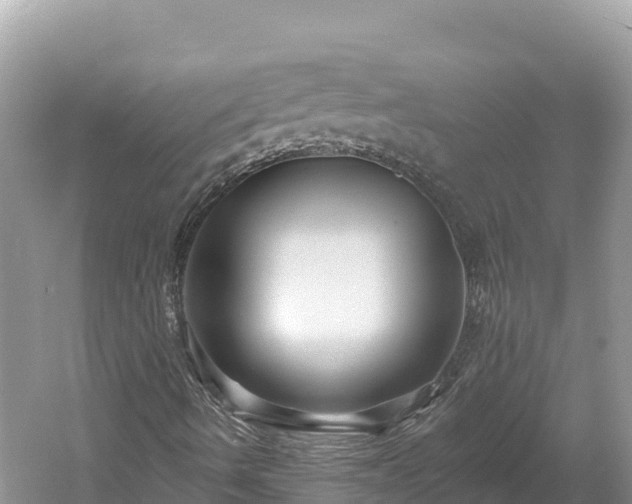 X0000061731490200512050919