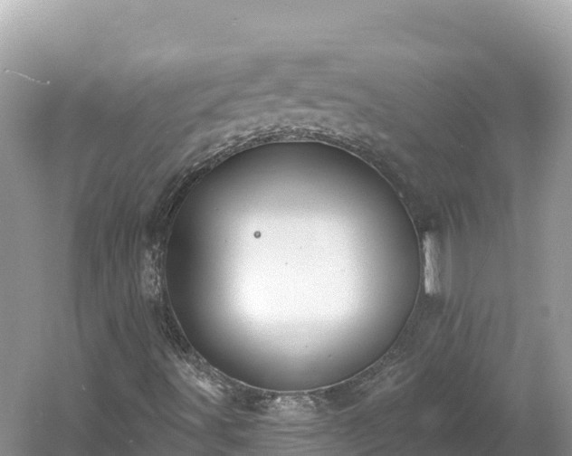 X0000061731491200512050919