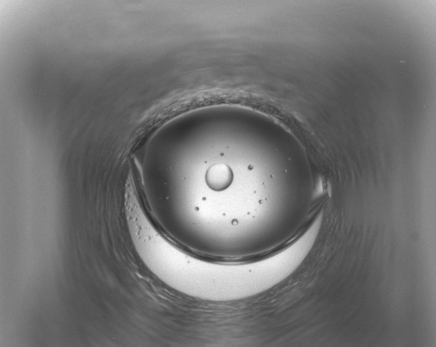 X0000061731492200512050919