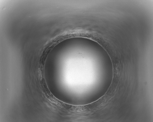 X0000061731493200512050919