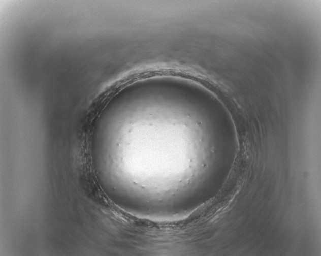 X0000061731494200512050919